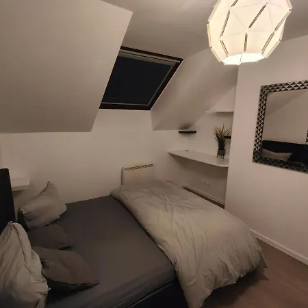 Les Lofts De Provins: Apt 8 Extérieur photo